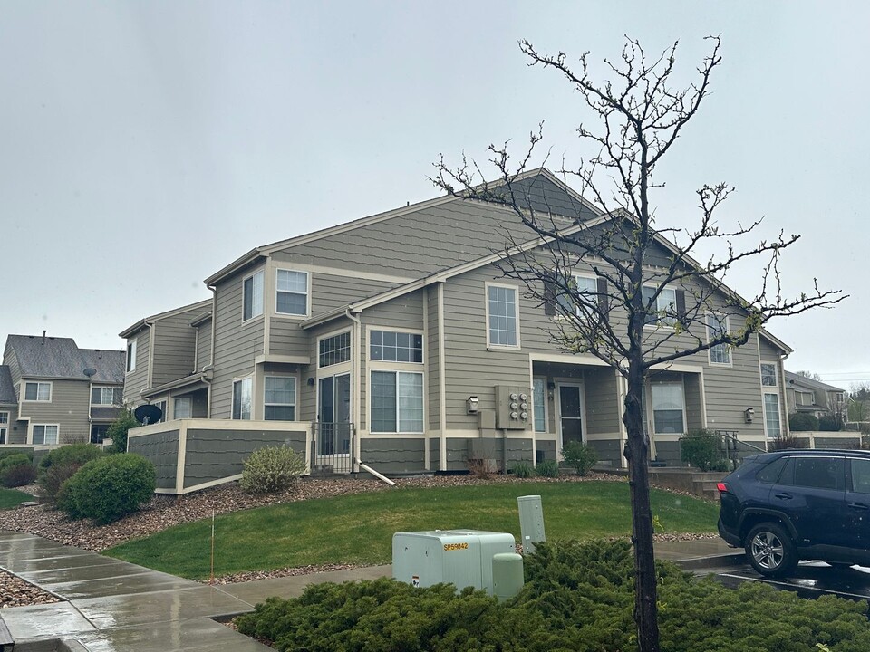 6814 Antigua Dr in Fort Collins, CO - Building Photo
