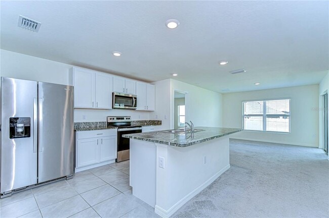 38255 Sonnet Landing Ave in Zephyrhills, FL - Building Photo - Building Photo