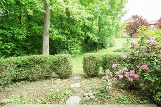 4003 Valley View Dr NE-Unit -5 in Knoxville, TN - Building Photo - Building Photo