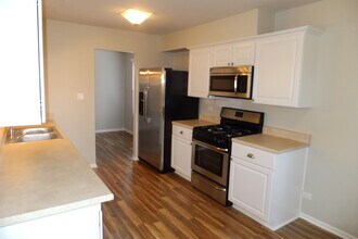 905 Knottingham Dr in Schaumburg, IL - Building Photo - Building Photo
