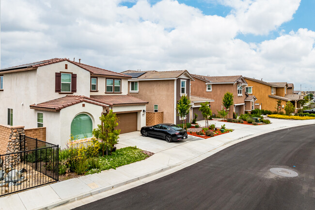 Traditions in Redlands, CA - Building Photo - Building Photo