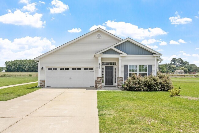 property at 203 Mineral Springs Ln