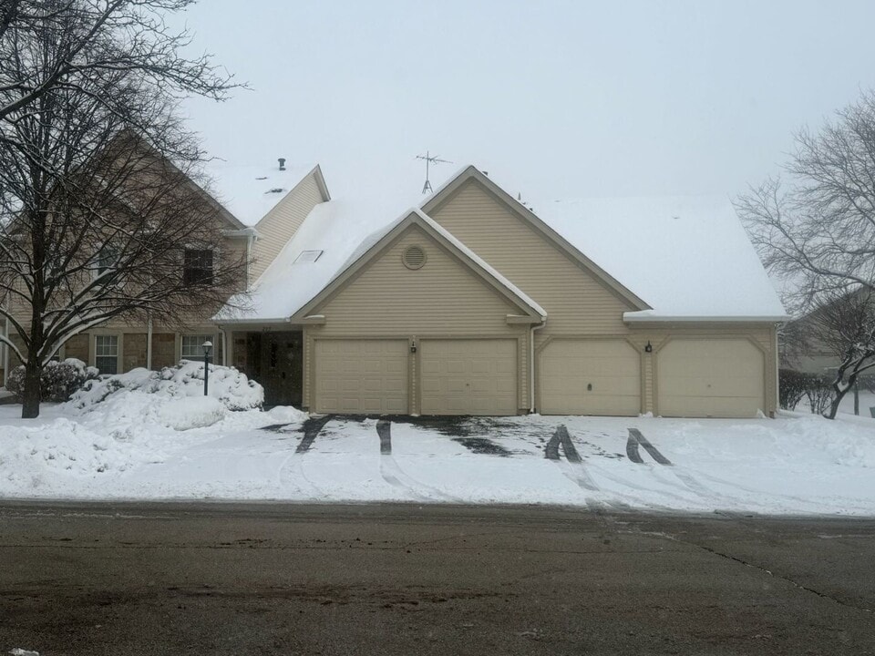 205 Glasgow Ln in Schaumburg, IL - Building Photo