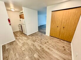 311 Jarvis Street in Ypsilanti, MI - Building Photo