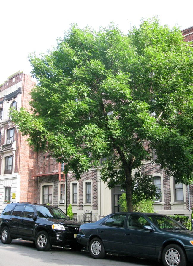 263 Parkside Ave in Brooklyn, NY - Foto de edificio - Building Photo