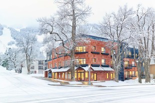 Dancing Bear Apartments