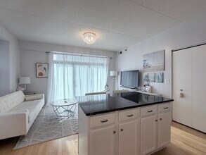 1250 S Indiana Ave in Chicago, IL - Building Photo - Building Photo
