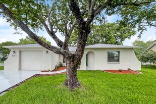 9136 Lometa Ln in Port Richey, FL - Building Photo