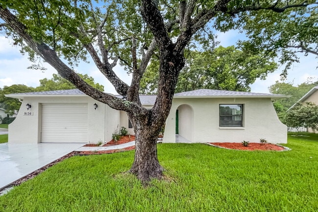 property at 9136 Lometa Ln