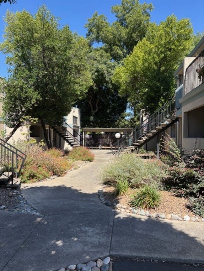 1412 N Cherry St in Chico, CA - Foto de edificio - Building Photo