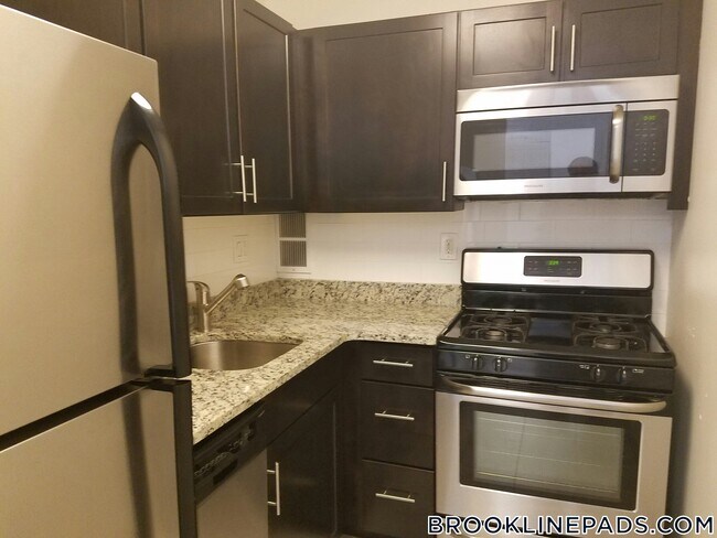 185 Freeman St in Brookline, MA - Building Photo - Building Photo