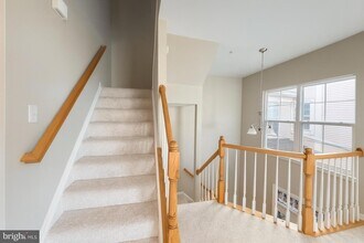 44180 Shady Glen Terrace in Ashburn, VA - Building Photo - Building Photo