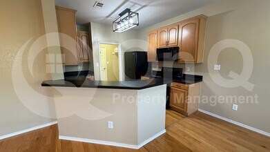 9849 Wilkins Way in Plano, TX - Building Photo - Building Photo