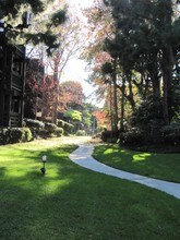 Cross Creek Village in Playa Del Rey, CA - Foto de edificio - Building Photo