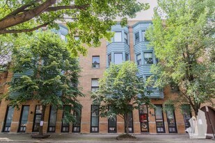 873 W Lill Ave in Chicago, IL - Building Photo