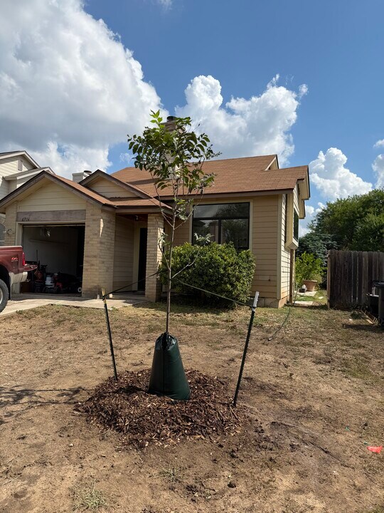 6316 Village Arbor in San Antonio, TX - Building Photo