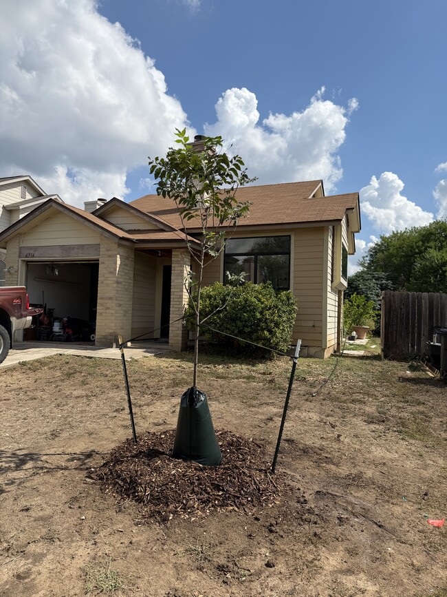 6316 Village Arbor