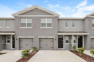 31166 Striped Maple Ln in Wesley Chapel, FL - Building Photo