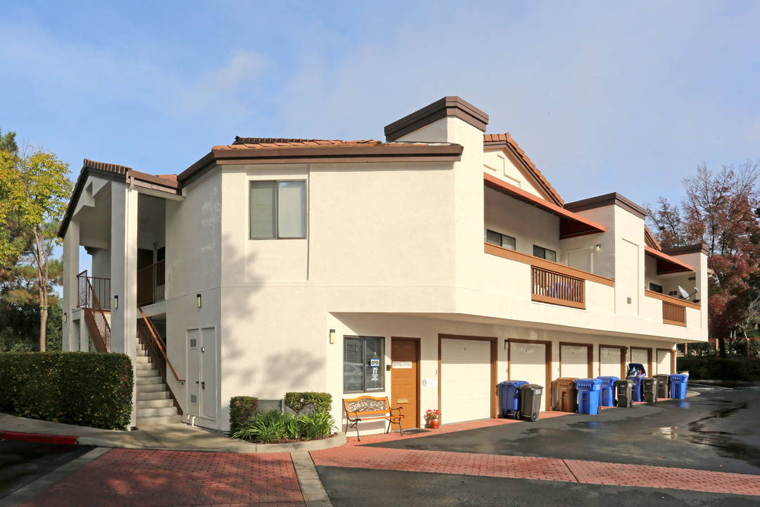 Greentree Terrace Apartments in Concord, CA - Building Photo