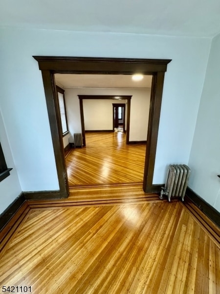 313 Halsted St in East Orange, NJ - Building Photo - Building Photo