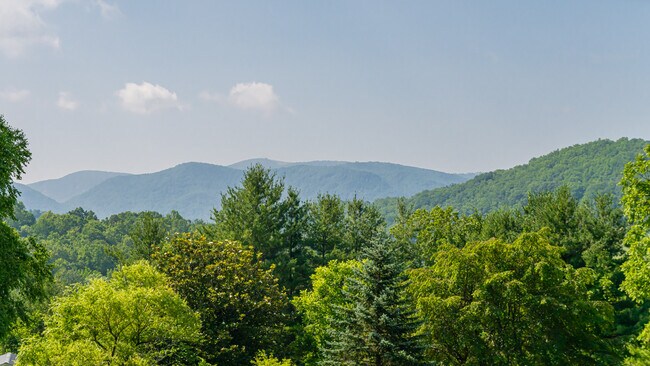 664 Old Fort Rd in Fairview, NC - Building Photo - Building Photo