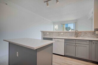 1642 Egret Way in Louisville, CO - Building Photo - Building Photo