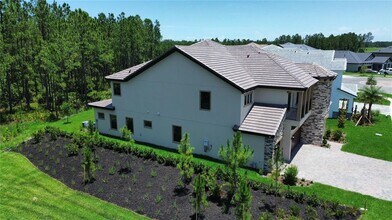 35311 Big Hawk Dr in Zephyrhills, FL - Building Photo - Building Photo