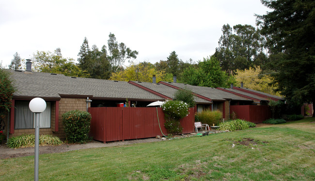 1565 Neotomas Ave in Santa Rosa, CA - Building Photo - Building Photo