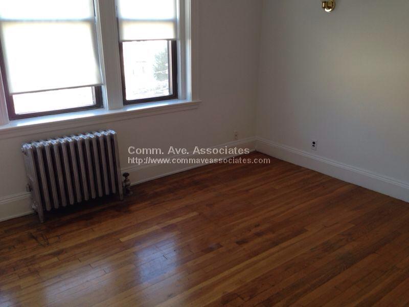 119 Brainerd Rd in Boston, MA - Building Photo