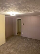 245 S Walnut St in Mount Carmel, PA - Building Photo - Building Photo