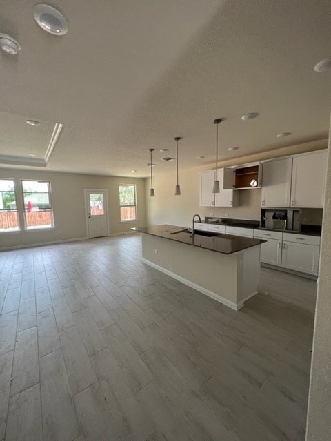 15 Pacific Loon St in Leander, TX - Foto de edificio - Building Photo