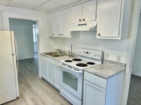 205.5 N Nanticoke Ave in Endicott, NY - Building Photo