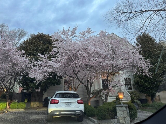 4111 18th Rd N, Unit 1 in Arlington, VA - Building Photo