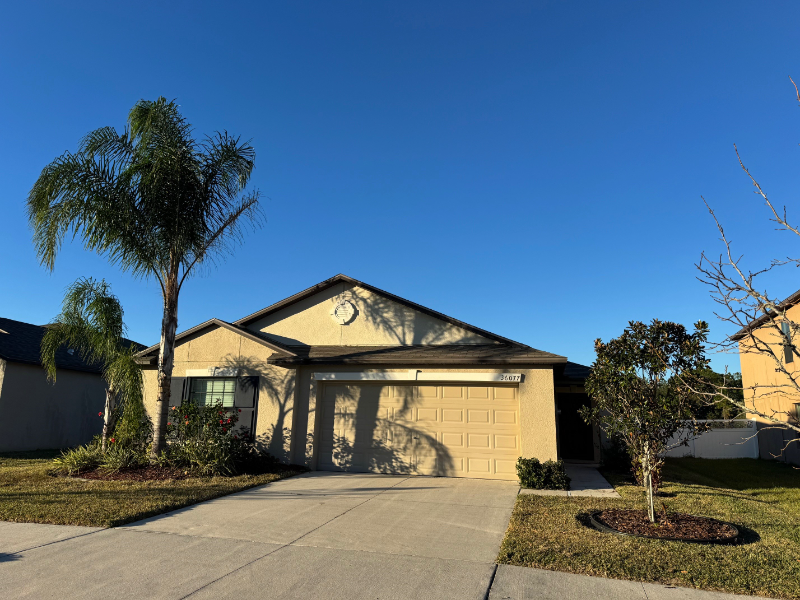 36077 Stable Wilk Ave in Zephyrhills, FL - Building Photo