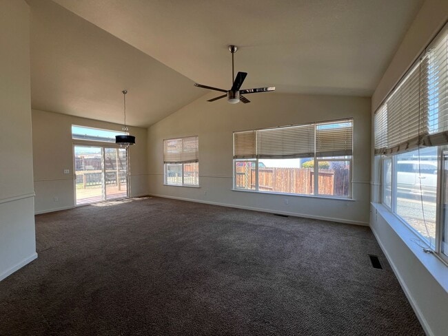 2602 Wildrye Ct in Minden, NV - Building Photo - Building Photo