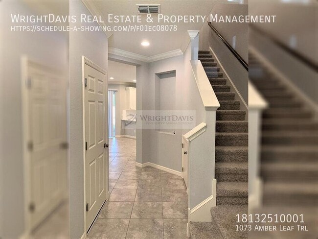 1073 Amber Leaf Trail in Wesley Chapel, FL - Building Photo - Building Photo