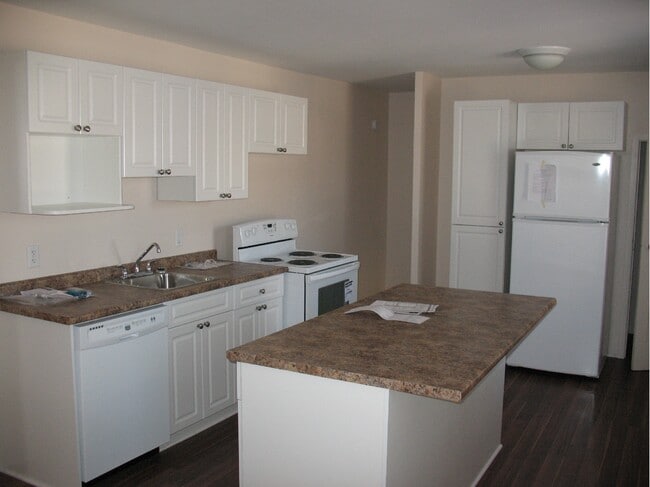 257-257 Balmoral St in Winnipeg, MB - Building Photo - Building Photo