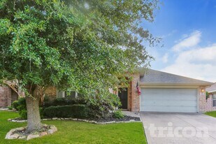 707 Fireberry Dr in Rockwall, TX - Building Photo