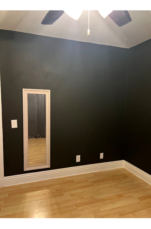 29377 Maes St in Lake Elsinore, CA - Building Photo - Building Photo