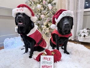 3675 Clay Pond Rd in Myrtle Beach, SC - Foto de edificio - Building Photo