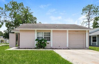10536 Chadbourne Dr in Tampa, FL - Building Photo