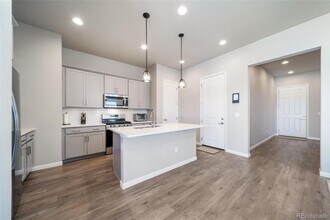 195 Silver Rock Trl in Castle Rock, CO - Building Photo - Building Photo