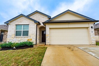 369 Carolina Buckthorn Dr in Kyle, TX - Building Photo - Building Photo