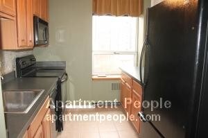 70 W Burton Pl-Unit -1005 in Chicago, IL - Building Photo - Building Photo