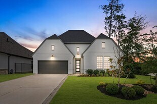 21 Cassena Grove Pl in Tomball, TX - Building Photo