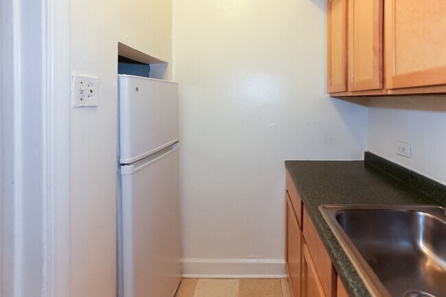 541 W Arlington Pl in Chicago, IL - Building Photo - Building Photo