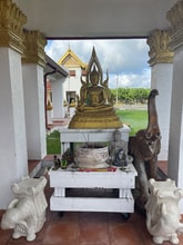 8357 Tahiti Rd in Ft. Myers, FL - Building Photo - Building Photo