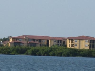 Beachwalk At Tampa Bay in Tampa, FL - Building Photo - Building Photo