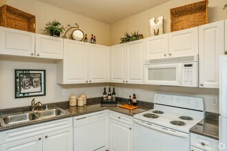 999 White St in Houston, TX - Building Photo - Building Photo