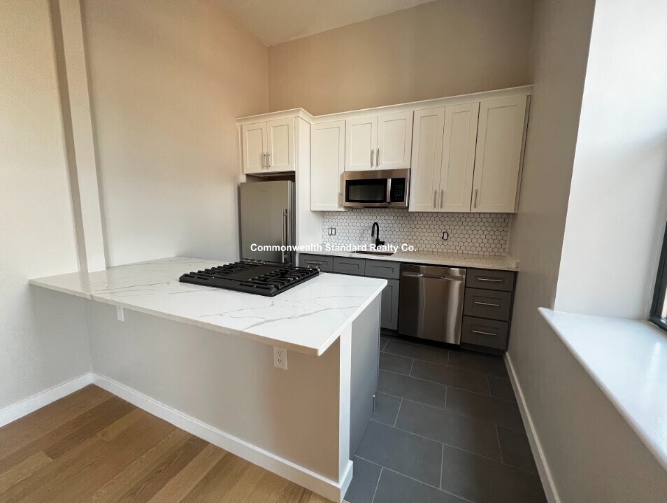 1661-1663 Washington St. Unit 308 in Boston, MA - Building Photo